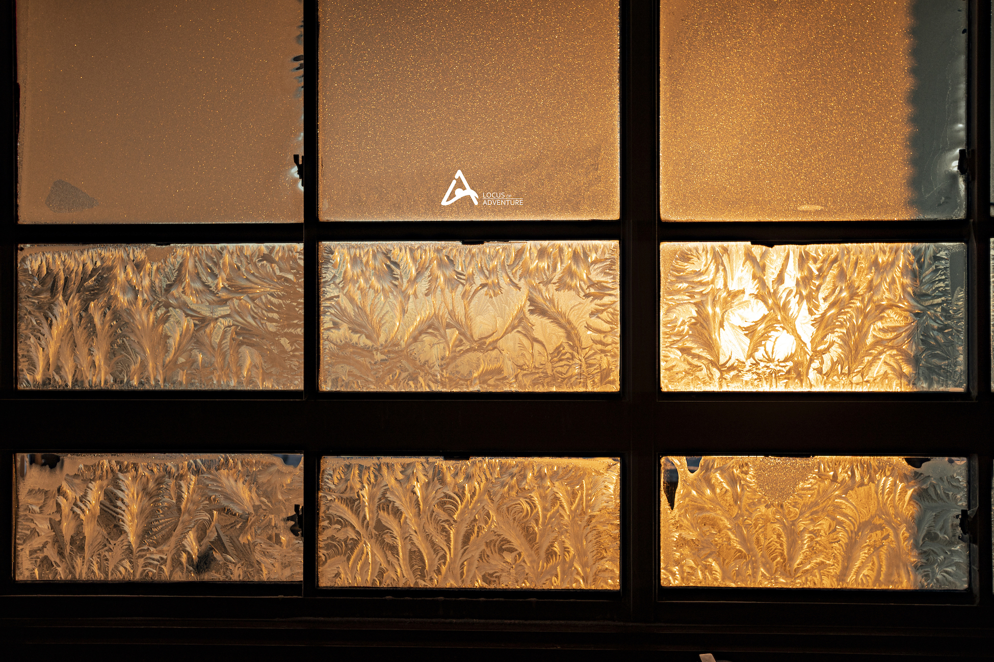 Ice flower   長野の冬景色