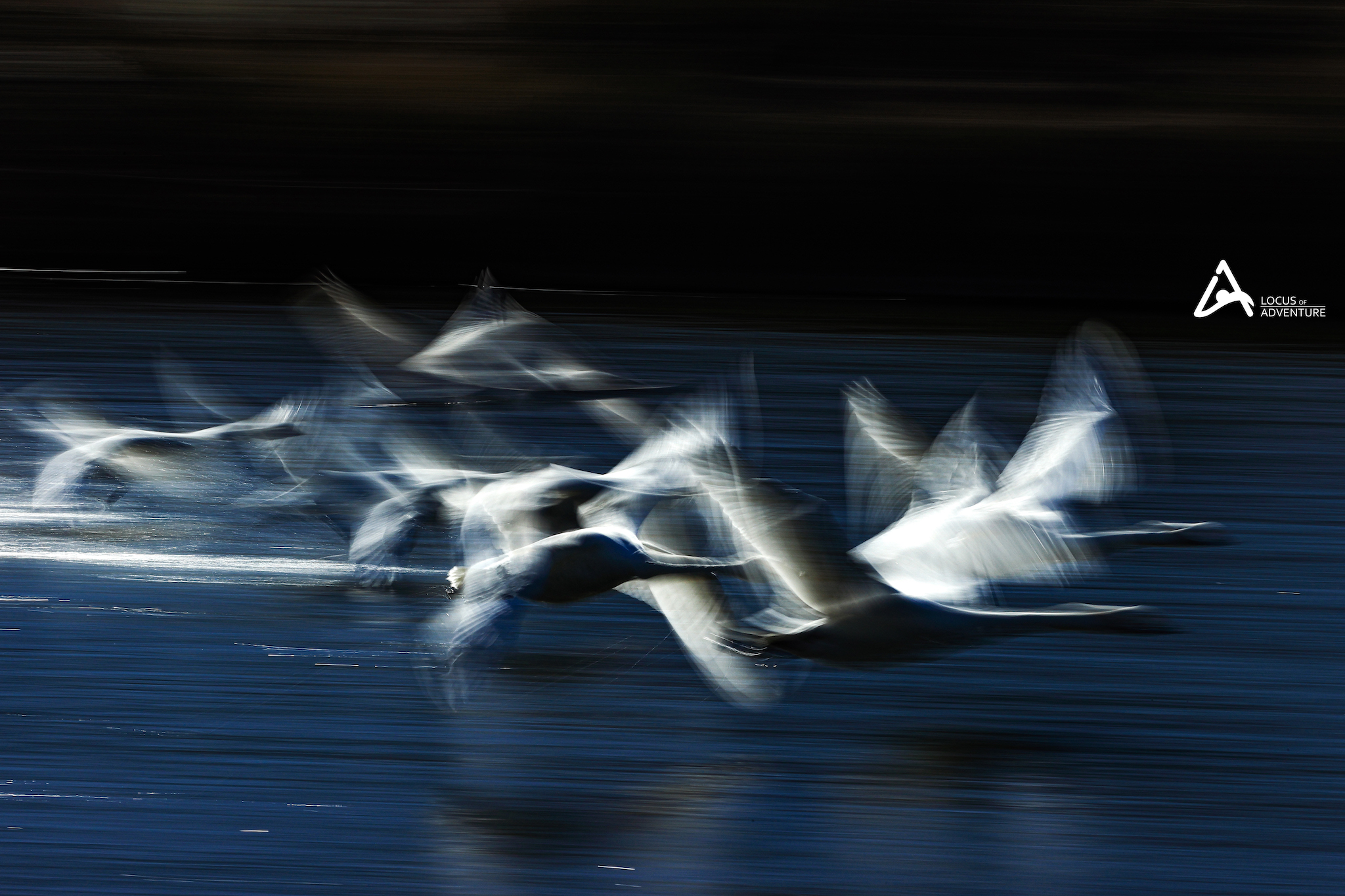 スローシャッター（小白鳥流し撮り）